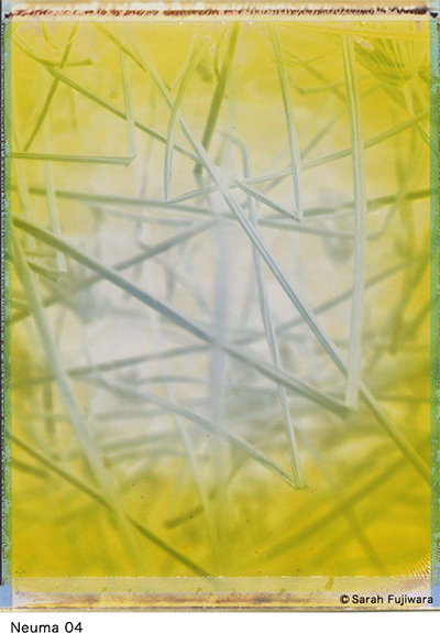 Neuma 04.png